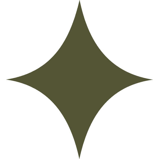 Decorative star